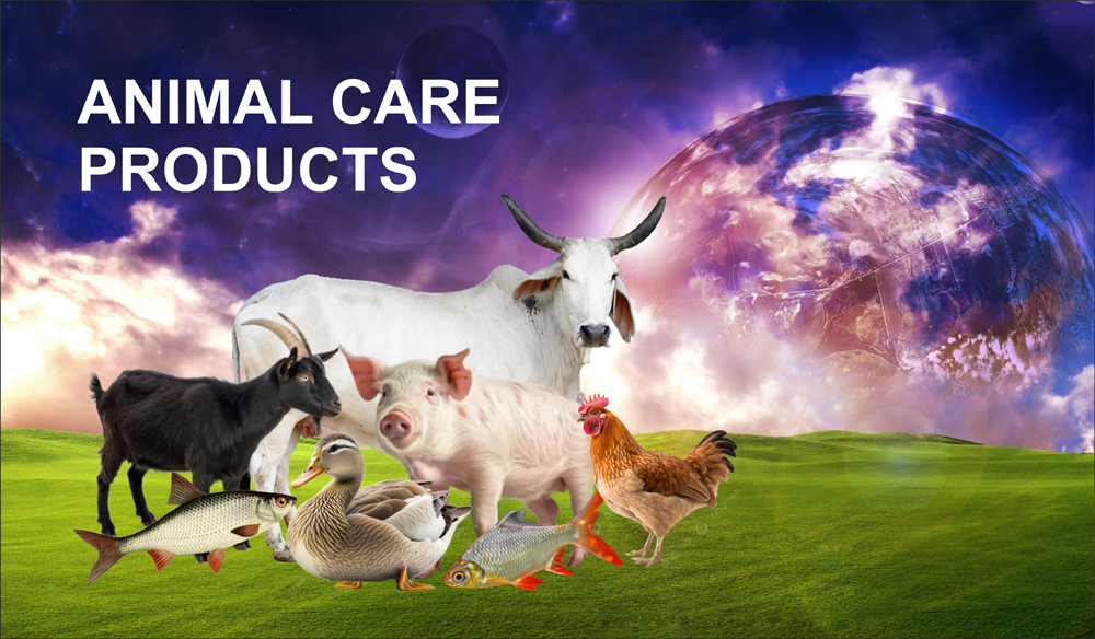 offer-banner